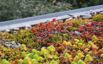 the cost of Eckford green roof installation