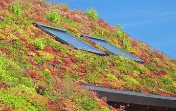 Eckford living roof systems