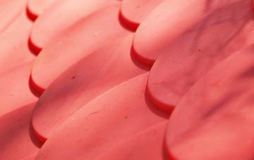 Eckford plastic roof costs