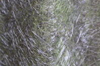 Eckford fibreglass roof work